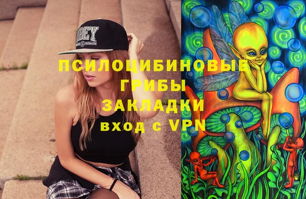 ПСИЛОЦИБИНОВЫЕ ГРИБЫ Покачи